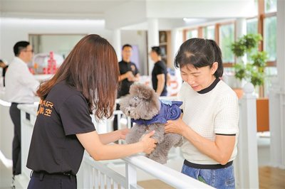 寵物友好服務 為愛寵提供全方位關懷